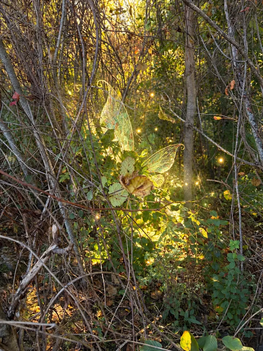 A glimpse of luminous wings tucked among the branches